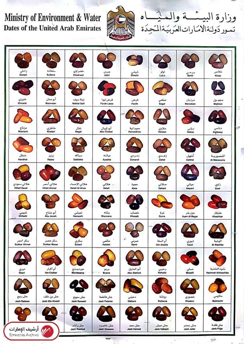 قائمة أسماء أنواع الرطب