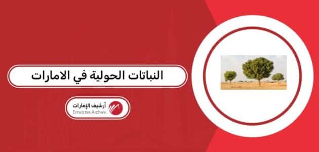 النباتات الحولية في الامارات